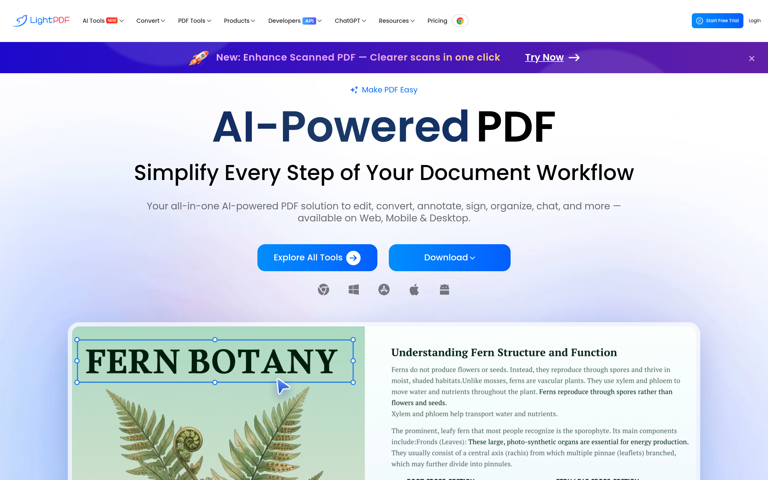 LightPDF