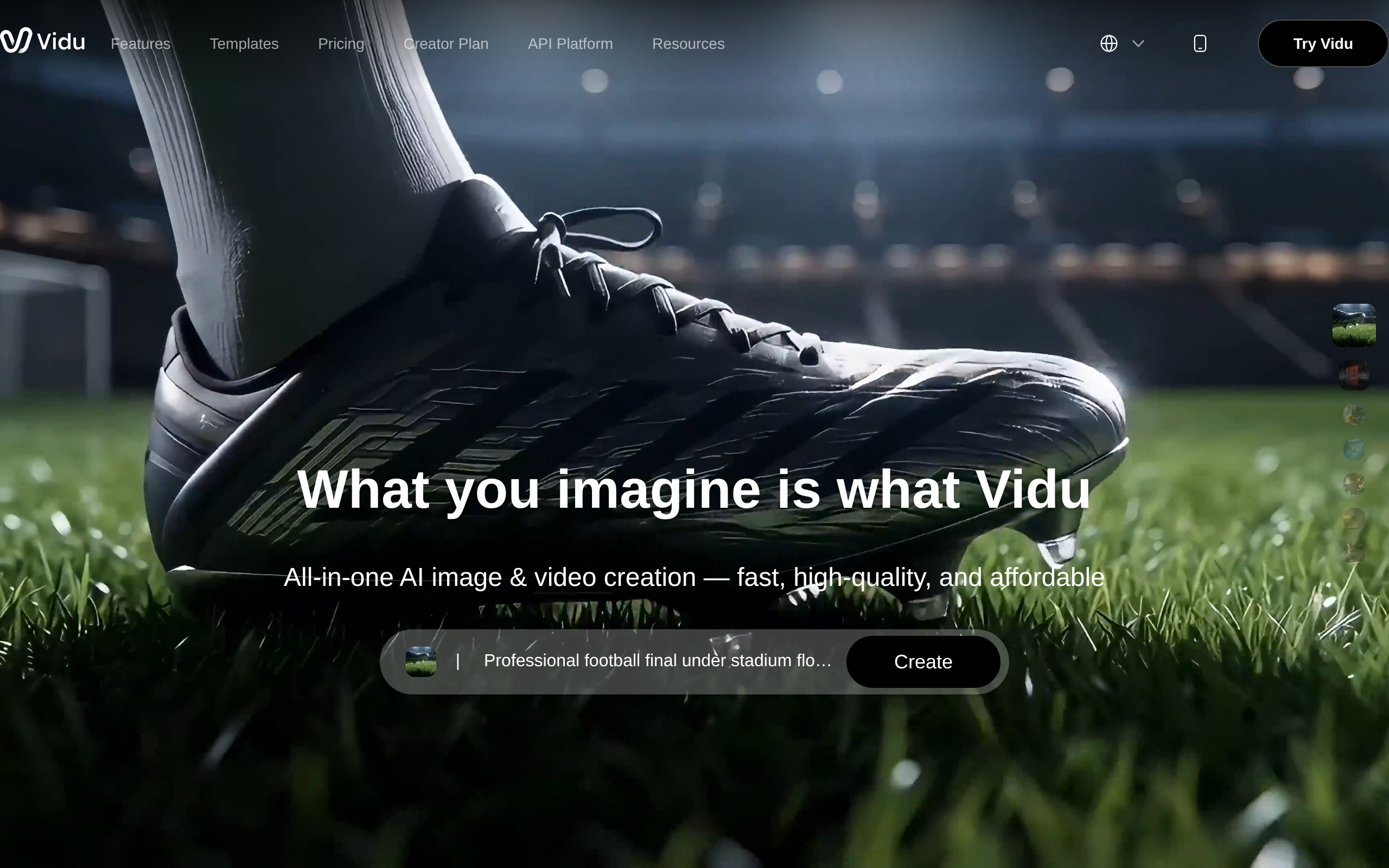 Vidu AI screenshot